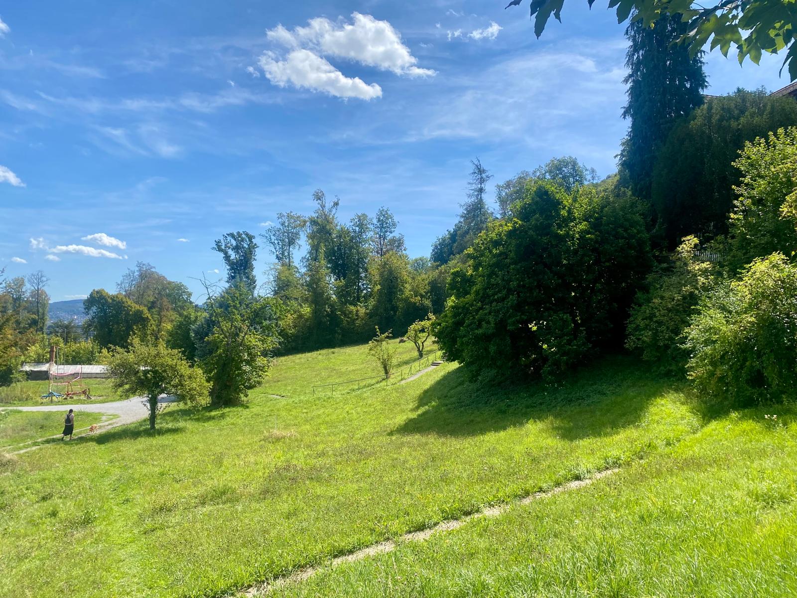 Grüne Wiese und Spielplatz im Naherholungsgebiet Oberes Triemli